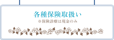各種保険取扱い ※保険診療は現金のみ